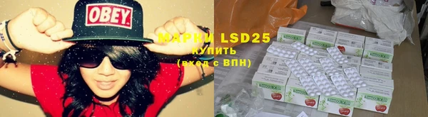 ГАЛЛЮЦИНОГЕННЫЕ ГРИБЫ Абдулино