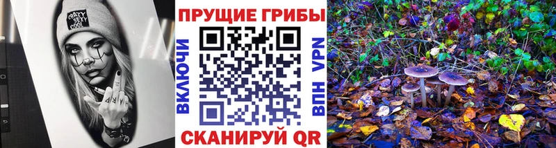 Галлюциногенные грибы мухоморы  Спас-Клепики 